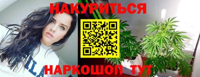 стаф Краснодар