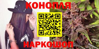 стаф Краснодар