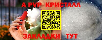 стаф Краснодар