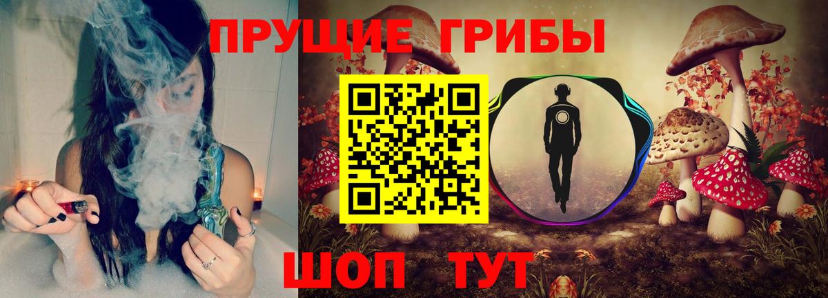 Кашира  Галлюциногенные грибы Psilocybine cubensis  Вход с VPN 